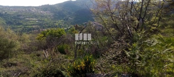 Grundstück in Baiao, Portugal 6300m², Nr. 59391 4