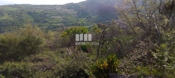 Grundstück in Baiao, Portugal 6300m², Nr. 59391 5