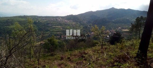 Grundstück in Baiao, Portugal 6300m², Nr. 59391 11