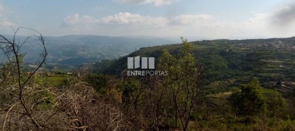 Grundstück in Baiao, Portugal 6300m², Nr. 59391 8