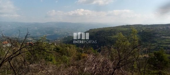 Grundstück in Baiao, Portugal 6300m², Nr. 59391 9