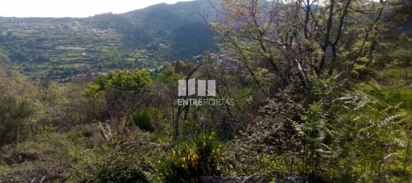 Grundstück in Baiao, Portugal 6300m², Nr. 59391 6