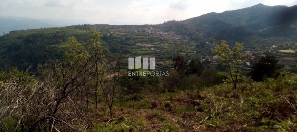 Grundstück in Baiao, Portugal 6300m², Nr. 59391 10