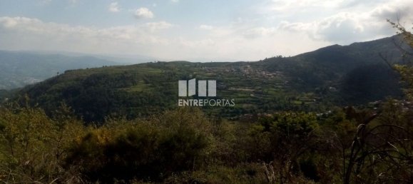 Grundstück in Baiao, Portugal 6300m², Nr. 59391 2