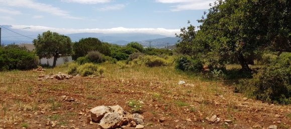 2194m² Hotel in Agios Nikolaos, Greece No. 4918 3