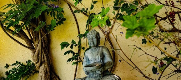 3 bedrooms House in Maisons-Alfort, France No. 328412 13