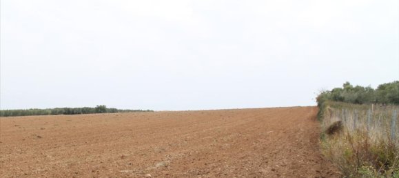 Hotel em Chalkidiki, Greece 6200 m² N.º 8066 2