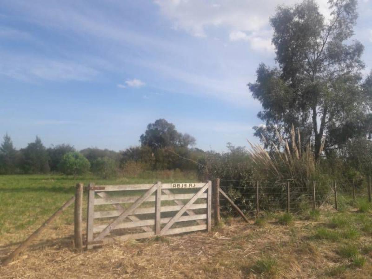 Terreno en Lobos, Argentina No. 50436
