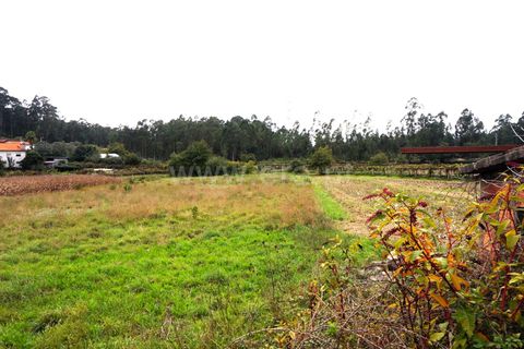  Land in Barcelos, Portugal No. 205223