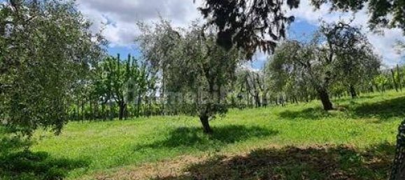 6 bedrooms House in San Gimignano, Italy No. 195475 4