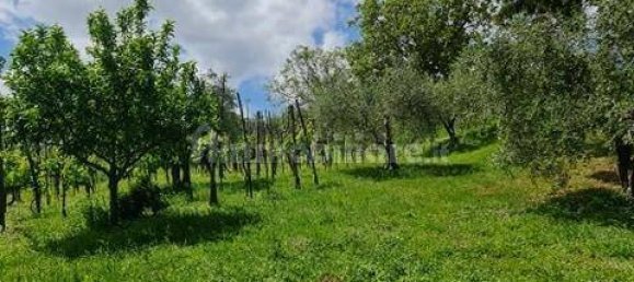 6 bedrooms House in San Gimignano, Italy No. 195475 12