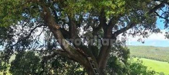 6 bedrooms House in San Gimignano, Italy No. 195475 5