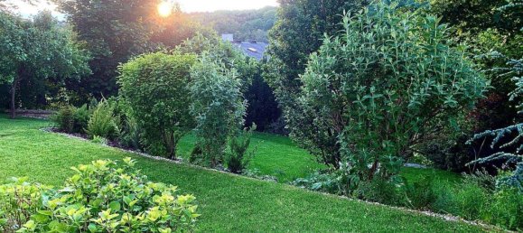 6 rooms Villa in Maria Enzersdorf, Austria No. 137269 30