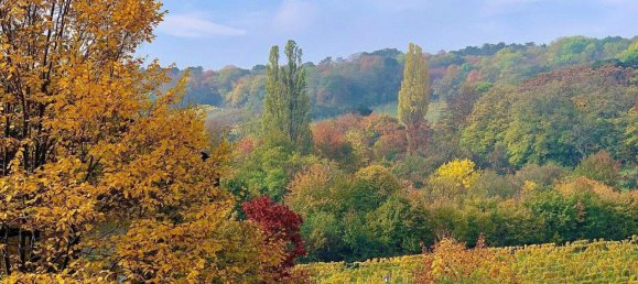 6 rooms Villa in Maria Enzersdorf, Austria No. 137269 19