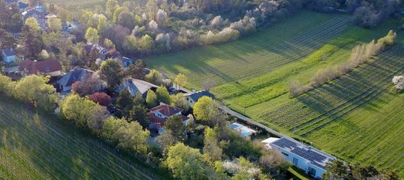 6 rooms Villa in Maria Enzersdorf, Austria No. 137269 6