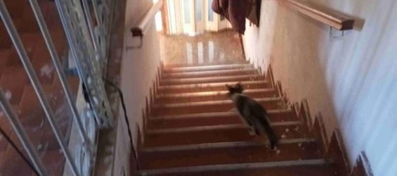 4 chambres Appartement à Cuasso al Monte, Italy No. 283546 4