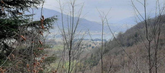 5-Zimmer Gewerbliche Immobilie in Calolziocorte, Italy, Nr. 176922 9