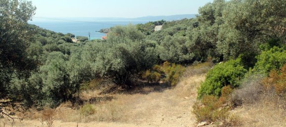 فندق في Chalkidiki, Greece 10000متر مربع رقم 7700 6
