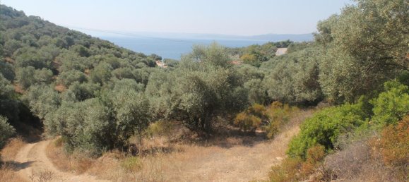 فندق في Chalkidiki, Greece 10000متر مربع رقم 7700 5
