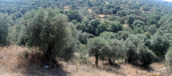 فندق في Chalkidiki, Greece 10000متر مربع رقم 7700 4