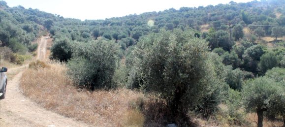 فندق في Chalkidiki, Greece 10000متر مربع رقم 7700 3