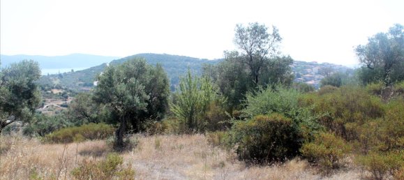 فندق في Chalkidiki, Greece 10000متر مربع رقم 7700 8