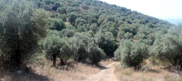 فندق في Chalkidiki, Greece 10000متر مربع رقم 7700 2
