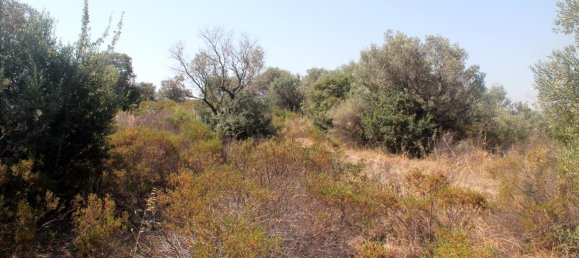 فندق في Chalkidiki, Greece 10000متر مربع رقم 7700 9