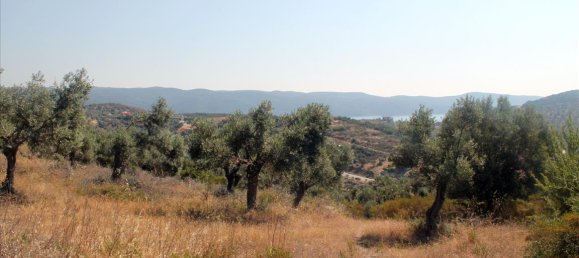 فندق في Chalkidiki, Greece 10000متر مربع رقم 7700 7