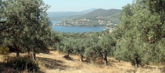 فندق في Chalkidiki, Greece 10000متر مربع رقم 7700 10