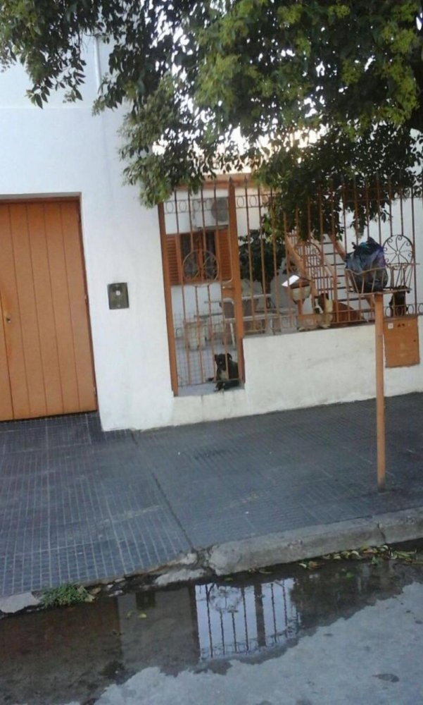 5 Schlafzimmer Wohnung in Cordoba, Argentina, Nr. 63769