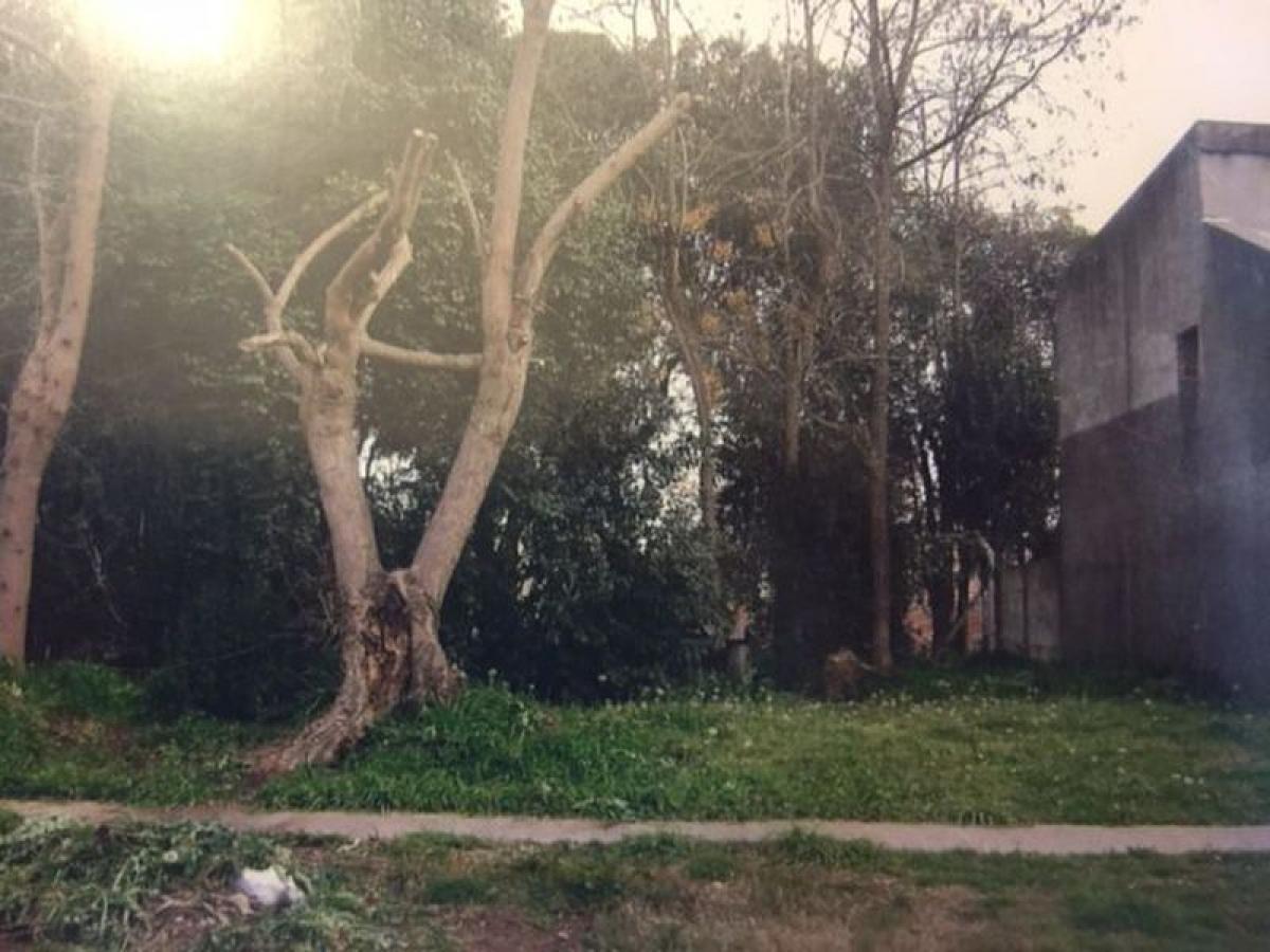 Terreno en Lobos, Argentina No. 50400