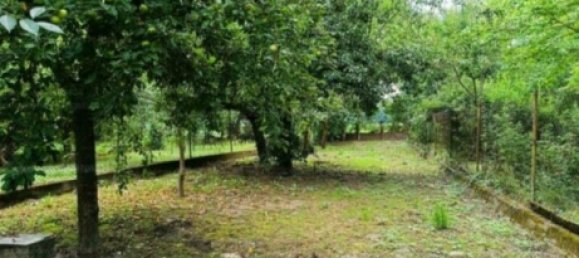 4-Zimmer Haus in Bodenseekreis, Germany, Nr. 320552 6