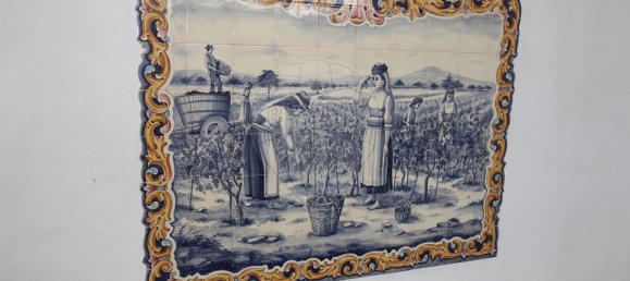  مستودع في Sangalhos, Portugal 5914متر مربع رقم 19269 26