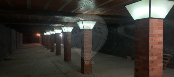  مستودع في Sangalhos, Portugal 5914متر مربع رقم 19269 11