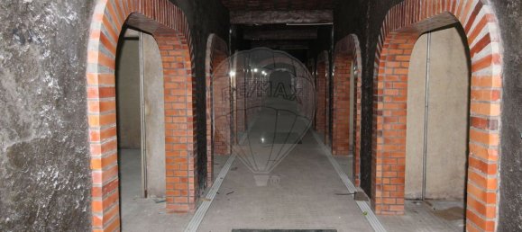  مستودع في Sangalhos, Portugal 5914متر مربع رقم 19269 13