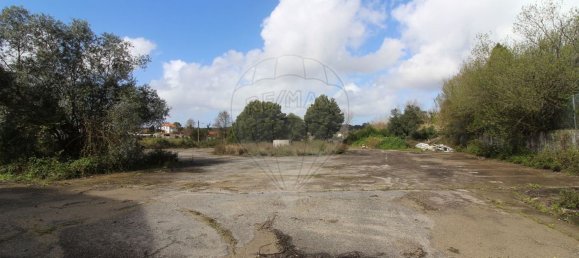  مستودع في Sangalhos, Portugal 5914متر مربع رقم 19269 32