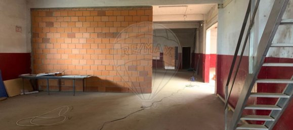  مستودع في Sangalhos, Portugal 5914متر مربع رقم 19269 29