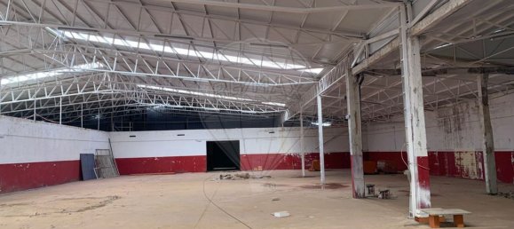  مستودع في Sangalhos, Portugal 5914متر مربع رقم 19269 8