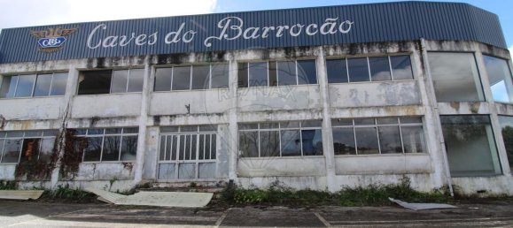  مستودع في Sangalhos, Portugal 5914متر مربع رقم 19269 35