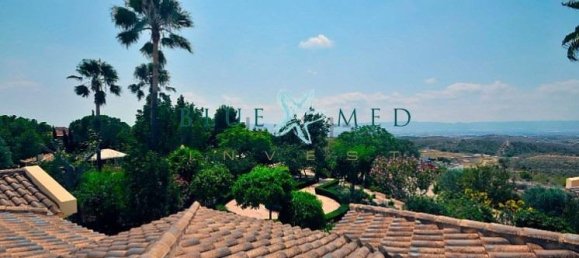 7 bedrooms House in Molina de Segura, Spain No. 62260 18