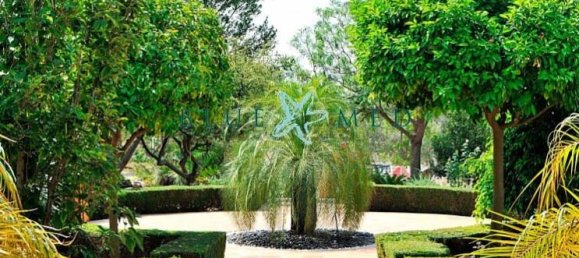 7 bedrooms House in Molina de Segura, Spain No. 62260 5