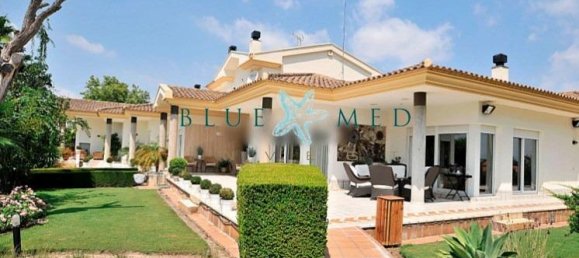7 bedrooms House in Molina de Segura, Spain No. 62260 2