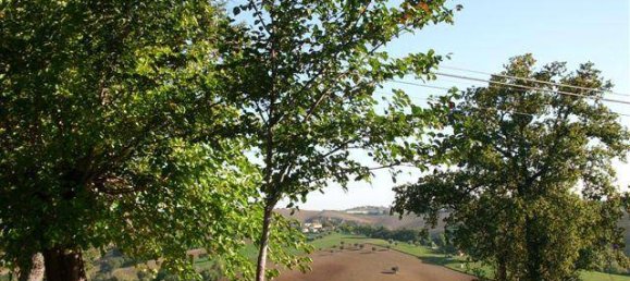 4 bedrooms House in Castelleone di Suasa, Italy No. 83309 10