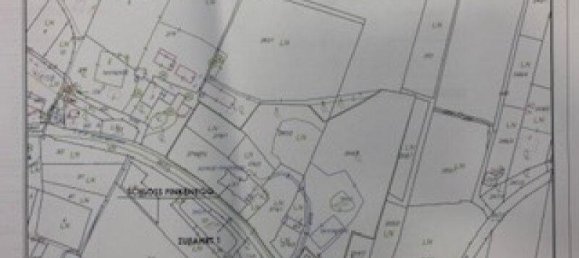 Дом с 11 комнатами в Вильдон, Австрия № 239578 22