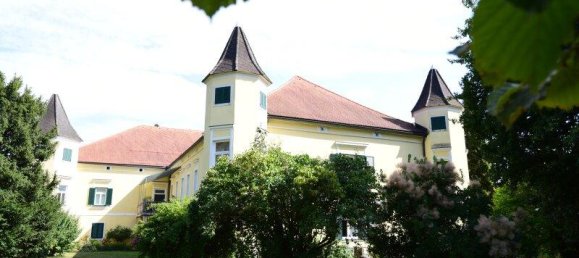 Дом с 11 комнатами в Вильдон, Австрия № 239578 7