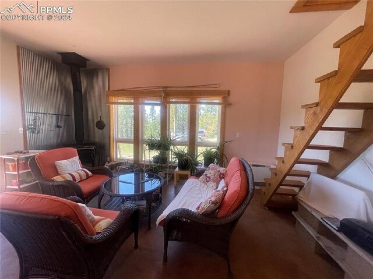 Studio in Guffey, USA No. 375147