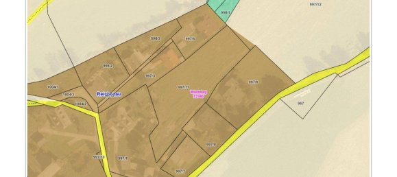 3001m² Land in Reichenau, Austria No. 163063 10