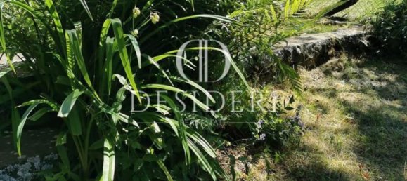 5 rooms Villa in Villa Collemandina, Italy No. 46419 10