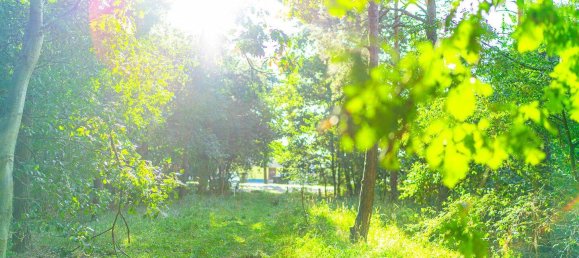 Земельный участок в Тельтов-Флеминг, Германия № 341668 11